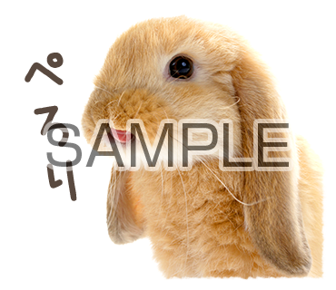 アニマル