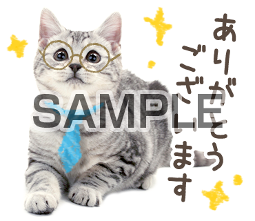 アニマル
