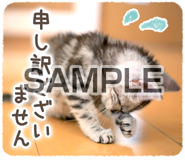 アニマル