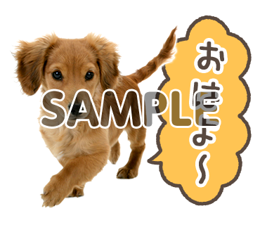 アニマル