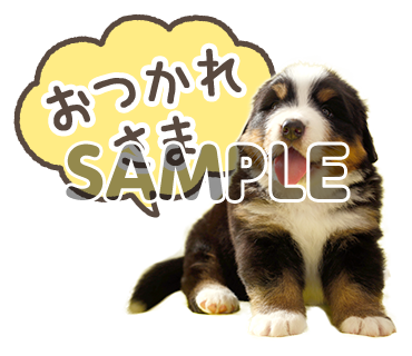 アニマル