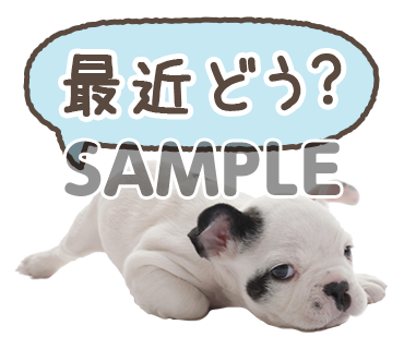 アニマル