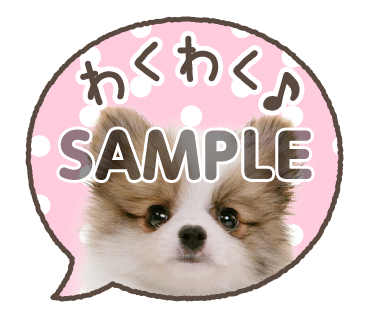 アニマル