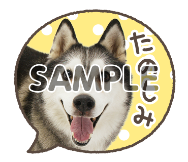 アニマル