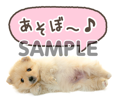 アニマル