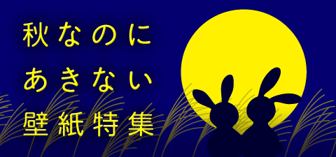 秋なのに飽きない壁紙
