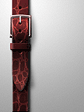 Red_Crocodile