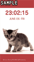 Cats