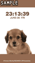 Dogs