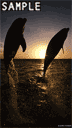 Dolphins