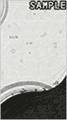Monochrome
