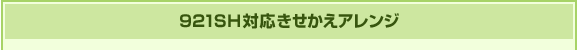 921SH�Ή����������A�����W