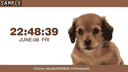 Dogs