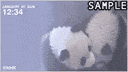 �p���_