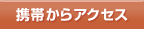�g�т���A�N�Z�X