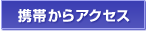 �g�т���A�N�Z�X