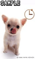 Dogs