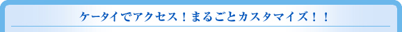 �P�[�^�C�ŃA�N�Z�X�I�ۂ��ƃJ�X�^�}�C�Y�I�I