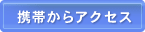 �g�т���A�N�Z�X