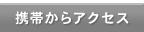 �g�т���A�N�Z�X