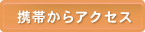 �g�т���A�N�Z�X