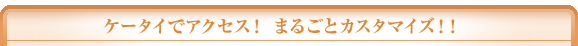�P�[�^�C�ŃA�N�Z�X�I�ۂ��ƃJ�X�^�}�C�Y�I�I