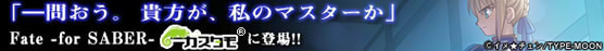 Fate-for SABER-