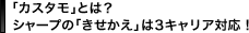 �u�J�X�^���v�Ƃ́H�V���[�v�́u���������v��3�L�����A�Ή��I