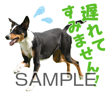 アニマル