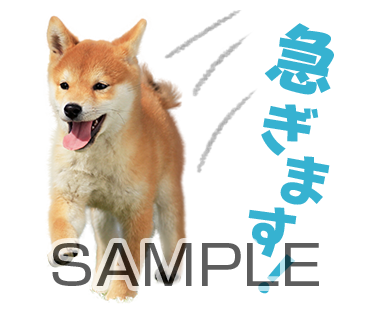 アニマル