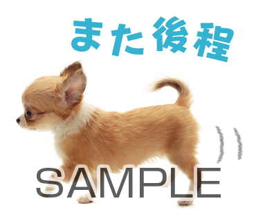アニマル