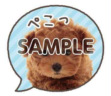 アニマル
