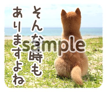 アニマル