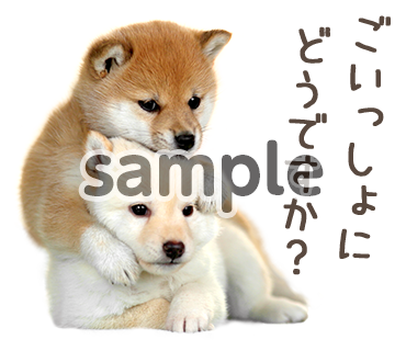 アニマル