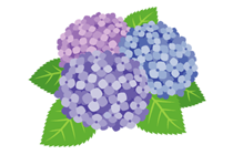 Happy Rain特集 カスタモ For Android