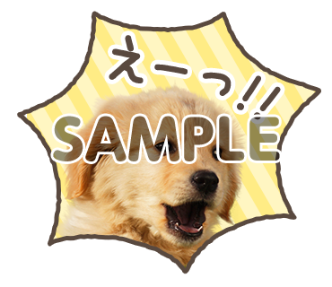 アニマル