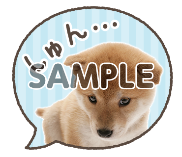 アニマル