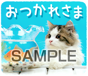 アニマル