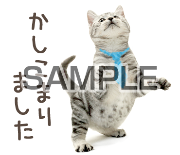アニマル